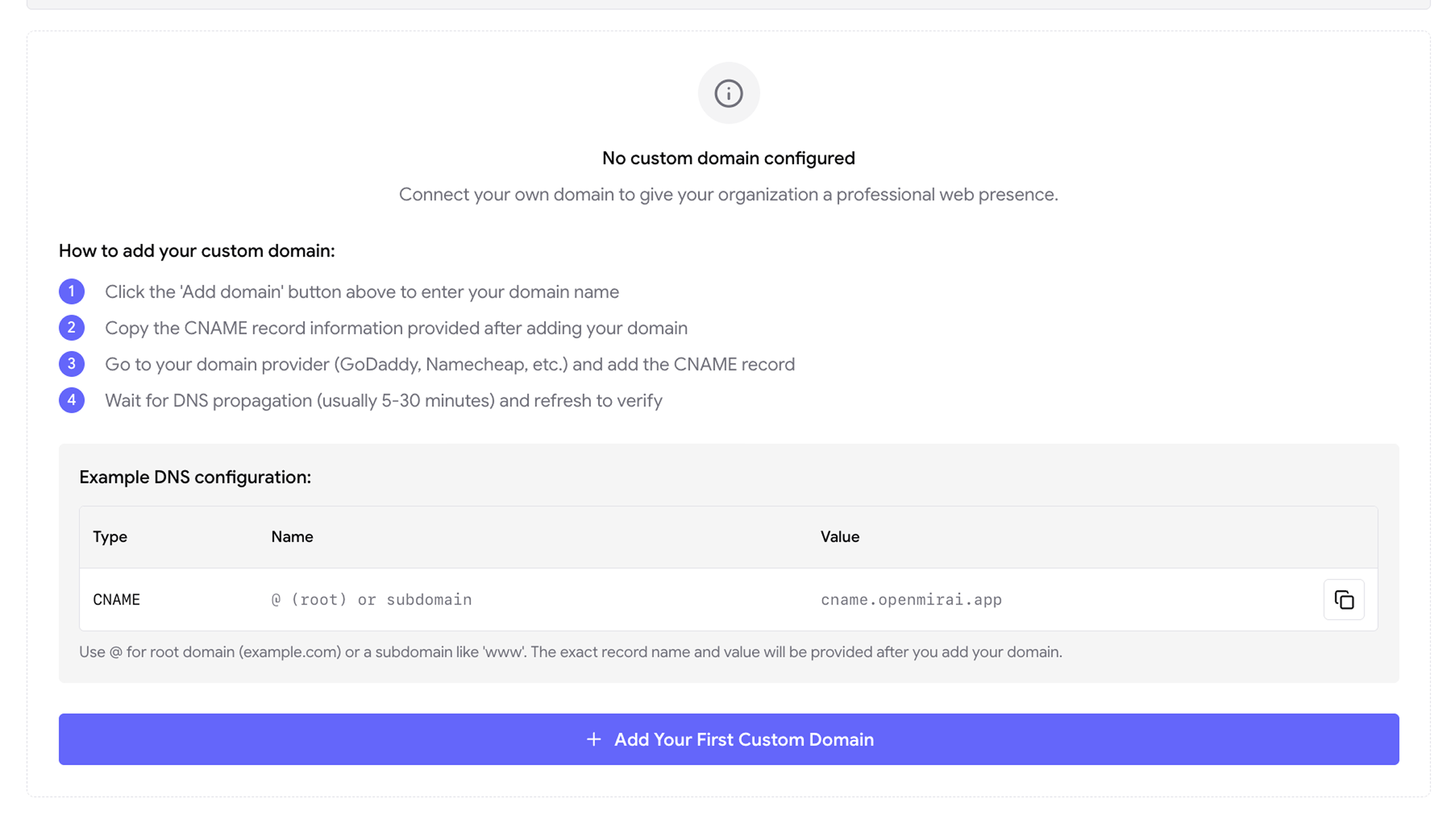 Custom domain setup screen with DNS configuration instructions